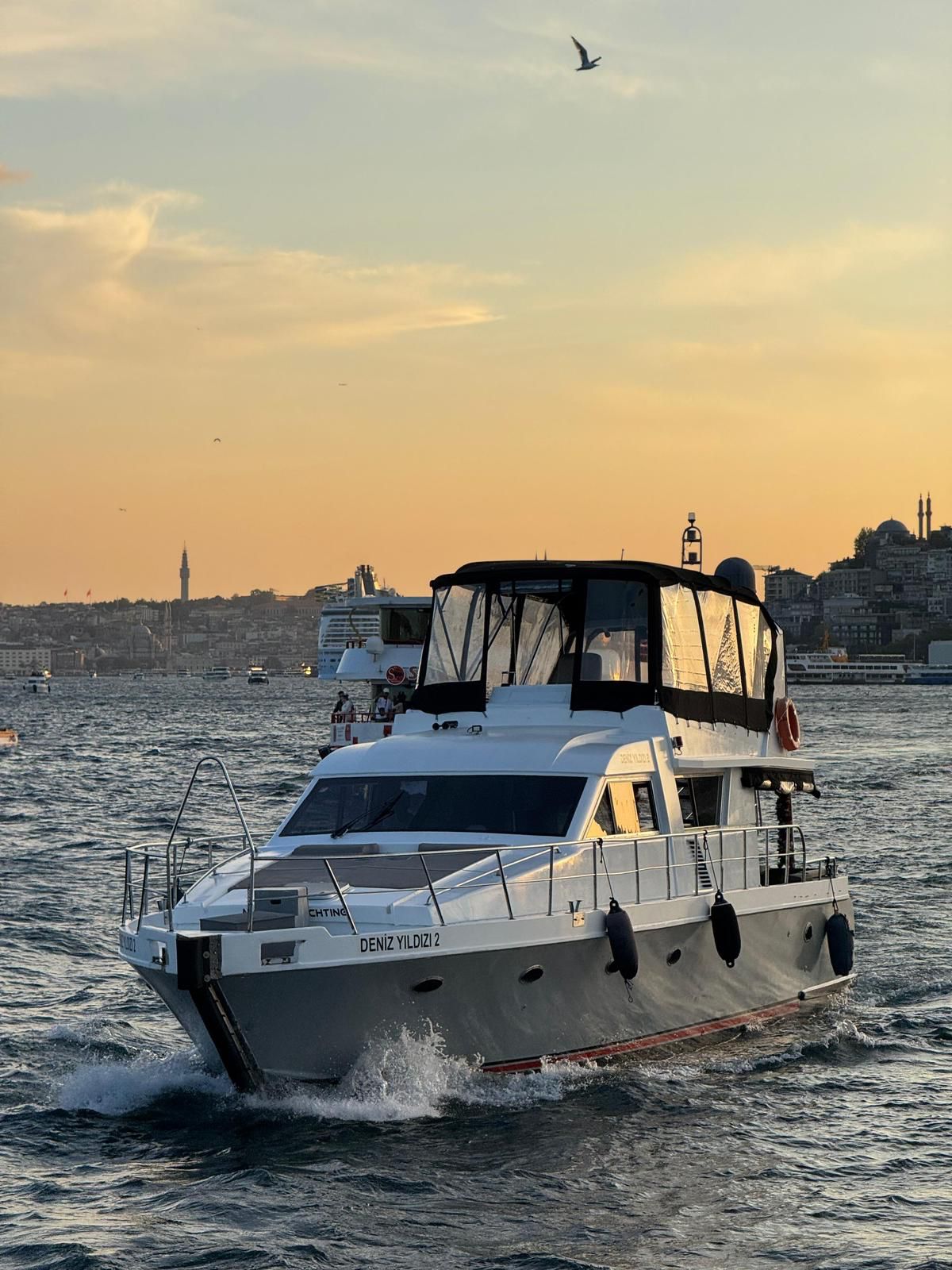 Deniz yıldızı 4